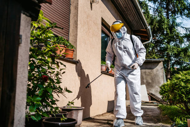 Best Residential Pest Control  in Headland, AL