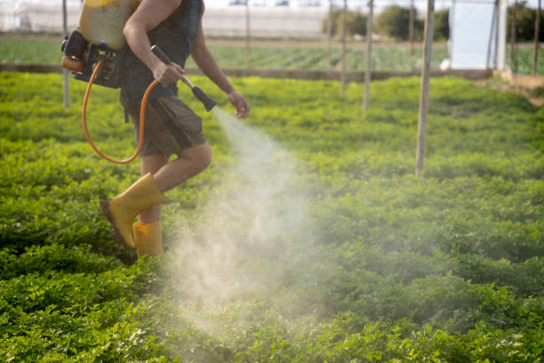 Best Ant Control Services  in Headland, AL