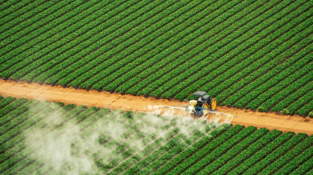 Best Pest Control Near Me  in Headland, AL