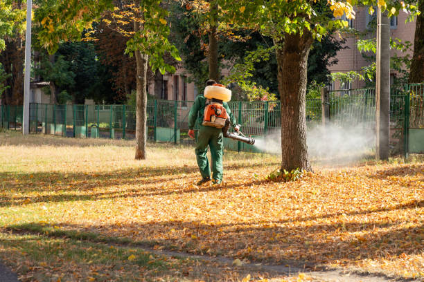 Best Mosquito Control Services  in Headland, AL