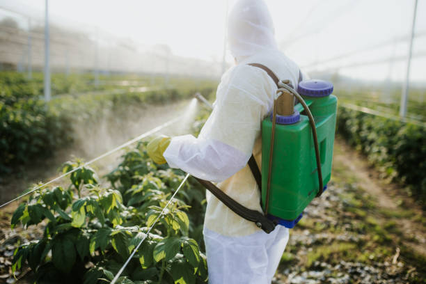 Best Exterminator Services  in Headland, AL